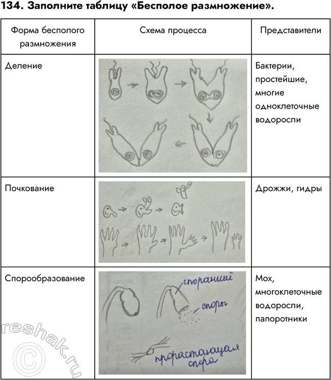 ����������� ������� 134 ��� ������� ������� ����� 6 �����