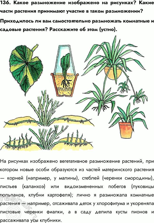 ����������� 136. ����� ����������� ���������� �� ��������? ����� ����� �������� ��������� ������� � ����� �����������?����������� �� ��� �������������� ���������� ��������� �...