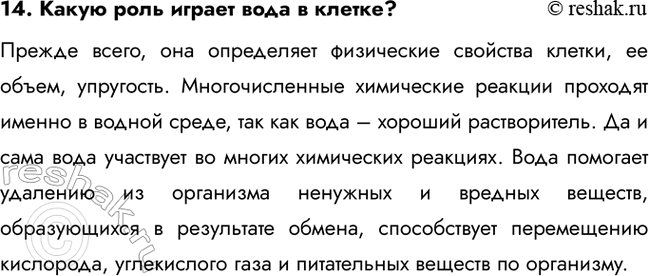 ����������� 14. ����� ���� ������ ���� � ������?������ �����, ��� ���������� ���������� �������� ������, �� �����, ���������. �������������� ���������� ������� �������� ������ �...