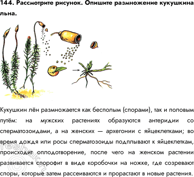 ����������� 144. ����������� �������. ������� ����������� ��������� ����.�������� �� ������������ ��� �������� (�������), ��� � ������� ����: �� ������� ��������� ����������...