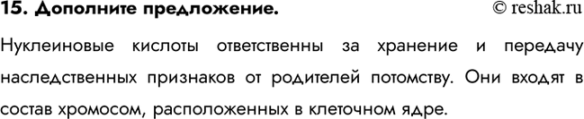 ����������� 15. ��������� �����������.����������� ������� ������������ �� �������� � �������� �������������� ��������� �� ��������� ���������. ��� ������ � ������ ��������,...