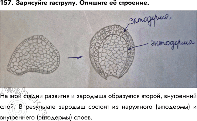 ����������� 157. ��������� ��������. ������� � ��������.�� ���� ������ �������� � �������� ���������� ������, ���������� ����. � ���������� ������� ������� �� ���������...