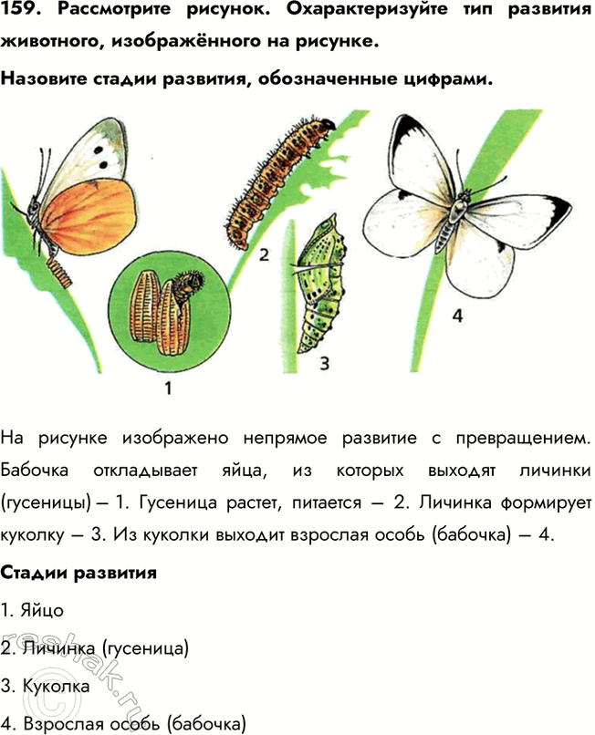 ����������� 159. ����������� �������. ��������������� ��� �������� ���������, ������������ �� �������.�������� ������ ��������, ������������ �������.�� ������� ����������...