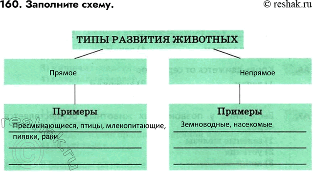 ����������� ������� 160 ��� ������� ������� ����� 6 �����