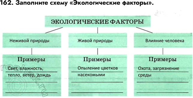 ����������� ������� 162 ��� ������� ������� ����� 6 �����