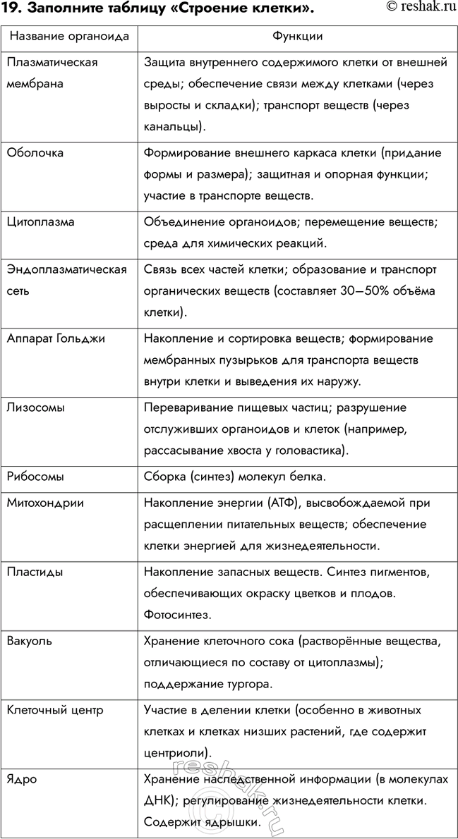 ����������� ������� 19 ��� ������� ������� ����� 6 �����