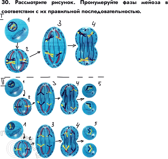 ����������� 30. ����������� �������. ������������ ���� ������ � ������������ � �� ����������...