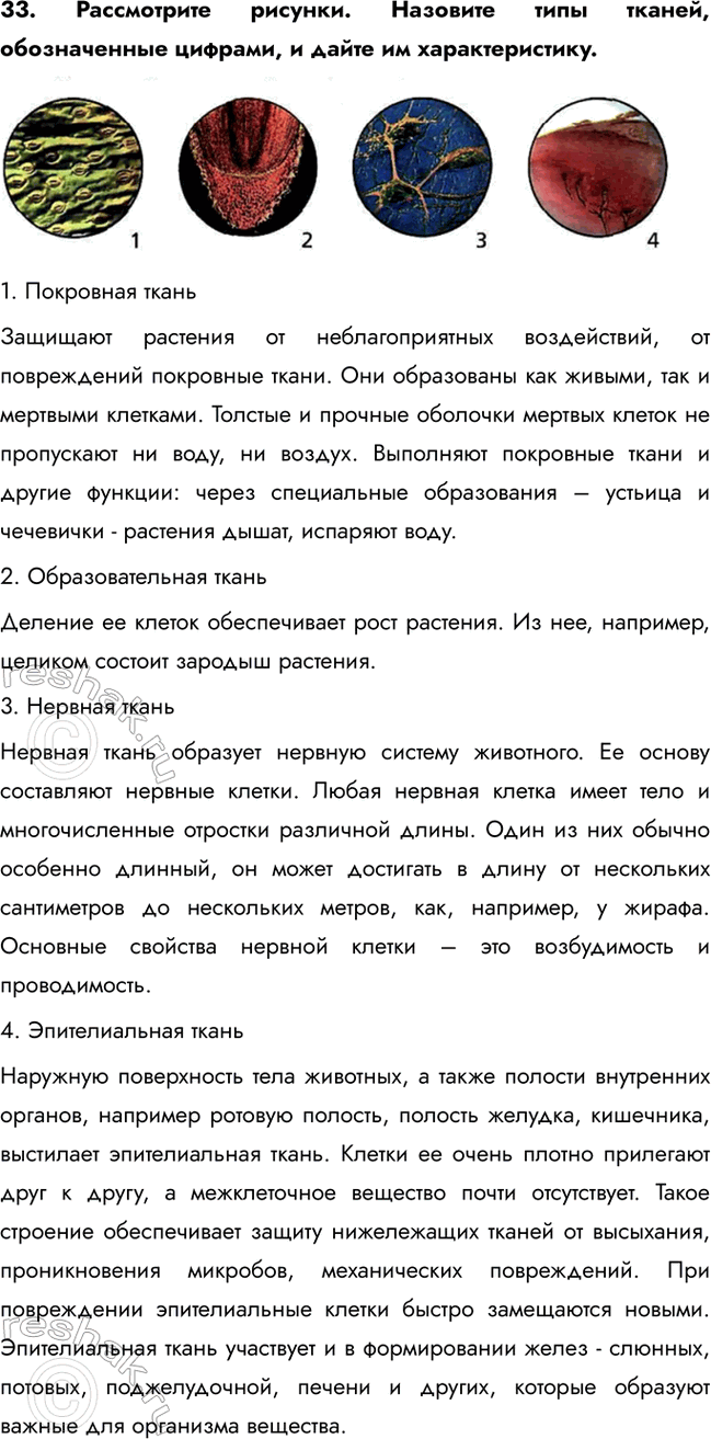 ����������� 33. ����������� �������. �������� ���� ������, ������������ �������, � ����� �� ��������������.1. ��������� ������������� �������� �� ��������������� �����������, ��...