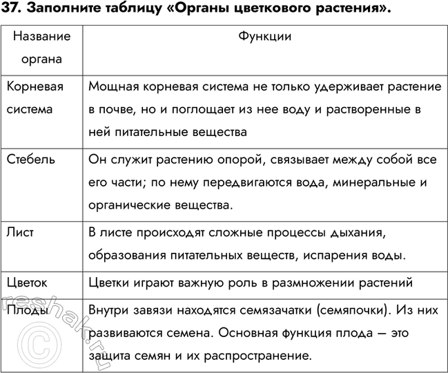 ����������� ������� 37 ��� ������� ������� ����� 6 �����