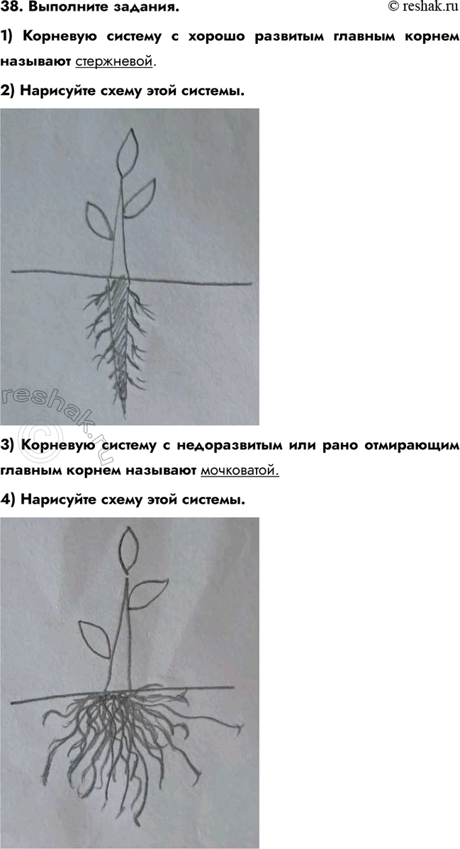 ����������� 38. ��������� �������.1) �������� ������� � ������ �������� ������� ������ �������� ����������.2) ��������� ����� ���� �������.3) �������� ������� � ������������...