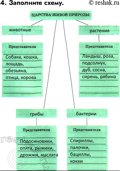 ����������� ������� 4 ��� ������� ������� ����� 6 �����