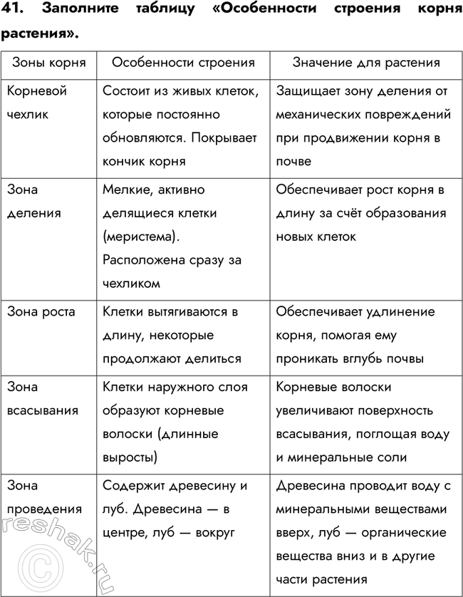 ����������� ������� 41 ��� ������� ������� ����� 6 �����