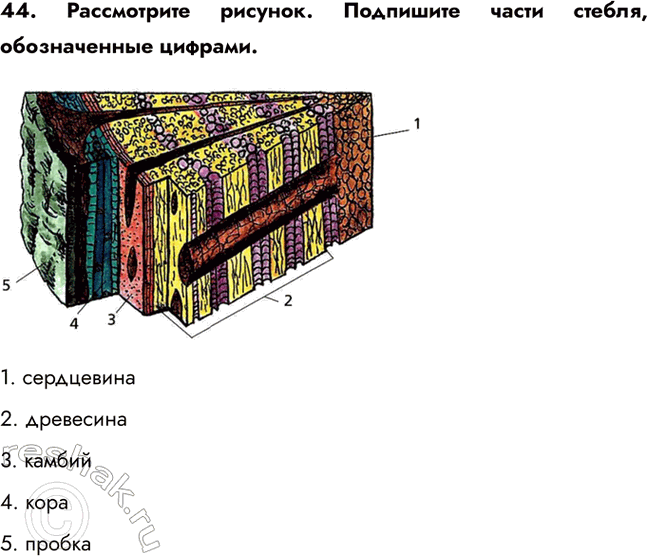 ����������� 44. ����������� �������. ��������� ����� ������, ������������ �������.1. ����������2. ���������3. ������4. ����5....