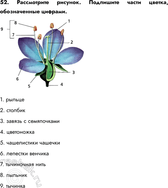 ����������� 52. ����������� �������. ��������� ����� ������, ������������ �������.1. ������2. �������3. ������ � �����������4. ����������5. ����������� �������6....