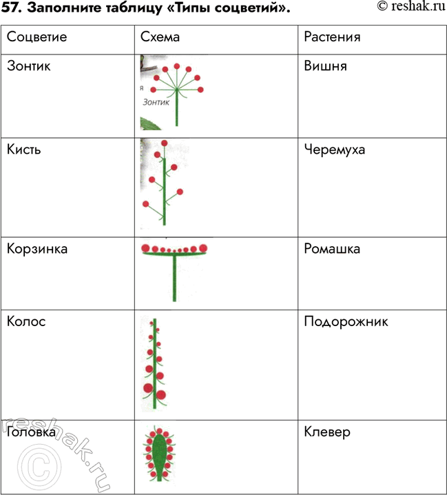 ����������� ������� 57 ��� ������� ������� ����� 6 �����