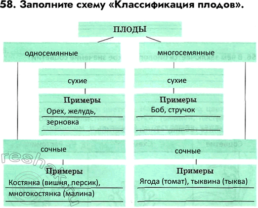 ����������� ������� 58 ��� ������� ������� ����� 6 �����