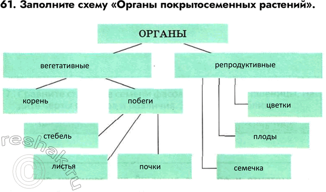 ����������� ������� 61 ��� ������� ������� ����� 6 �����