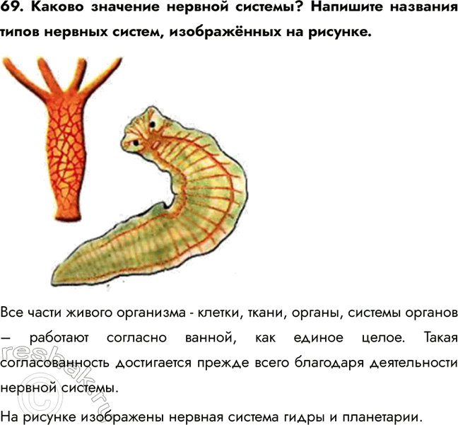 ����������� 69. ������ �������� ������� �������? �������� �������� ����� ������� ������, ����������� �� �������.��� ����� ������ ��������� - ������, �����, ������, �������...