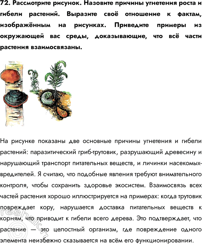 ����������� 72. ����������� �������. �������� ������� ��������� ����� � ������ ��������. �������� ��� ��������� � ������, ����������� �� ��������. ��������� ������� �� ����������...