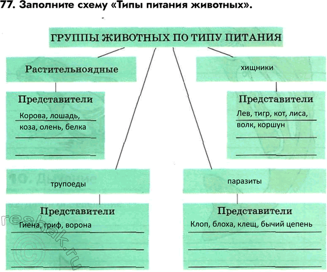 ����������� ������� 77 ��� ������� ������� ����� 6 �����