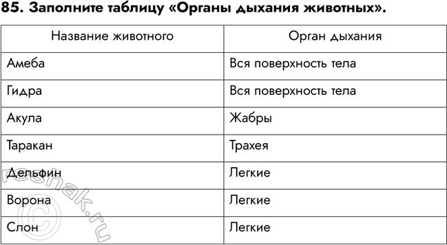 ����������� ������� 85 ��� ������� ������� ����� 6 �����