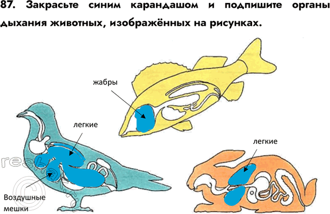 ����������� 87. ��������� ����� ���������� � ��������� ������ ������� ��������, ����������� ��...