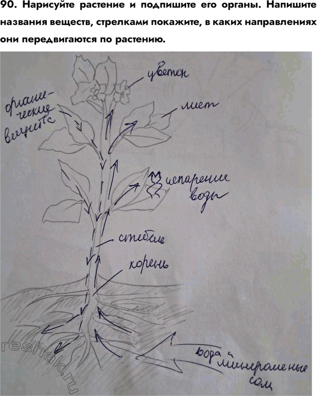 ����������� 90. ��������� �������� � ��������� ��� ������. �������� �������� �������, ��������� ��������, � ����� ������������ ��� ������������� ��...