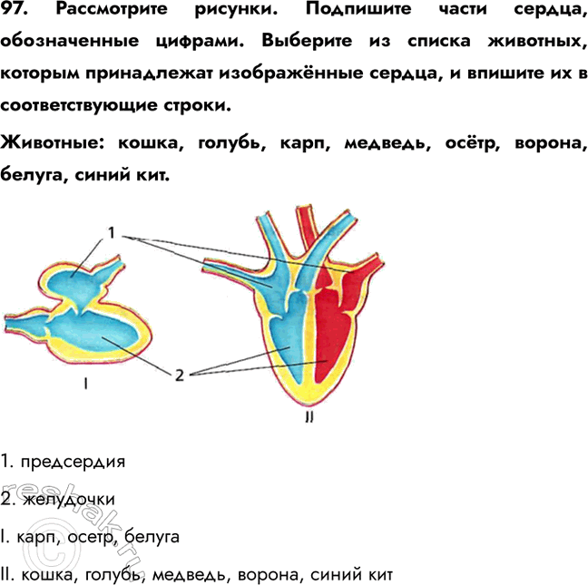 ����������� 97. ����������� �������. ��������� ����� ������, ������������ �������. �������� �� ������ ��������, ������� ����������� ����������� ������, � ������� �� �...