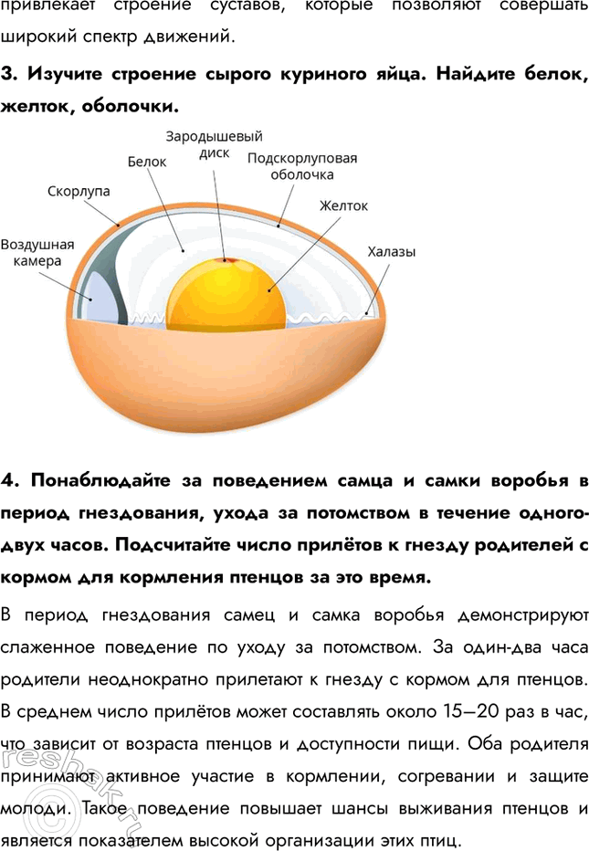 �������������� �����������