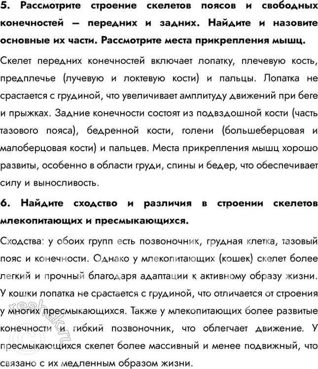 �������������� �����������