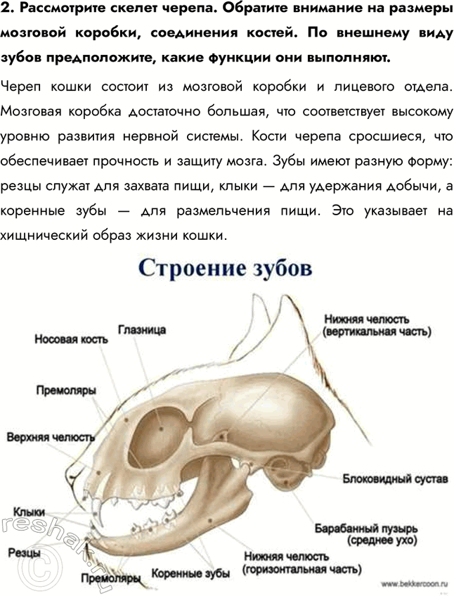 �������������� �����������