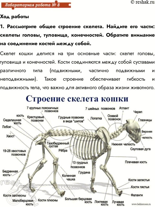 ����������� ��� ������1. ����������� ����� �������� �������. ������� ��� �����: ������� ������, ��������, �����������. �������� �������� �� ���������� ������ ����� �����.������...