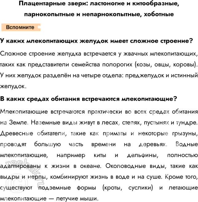   :   ,   ,       ?  ...