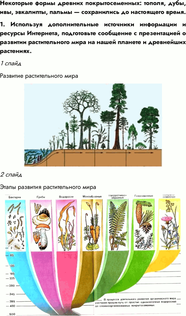 �������������� �����������