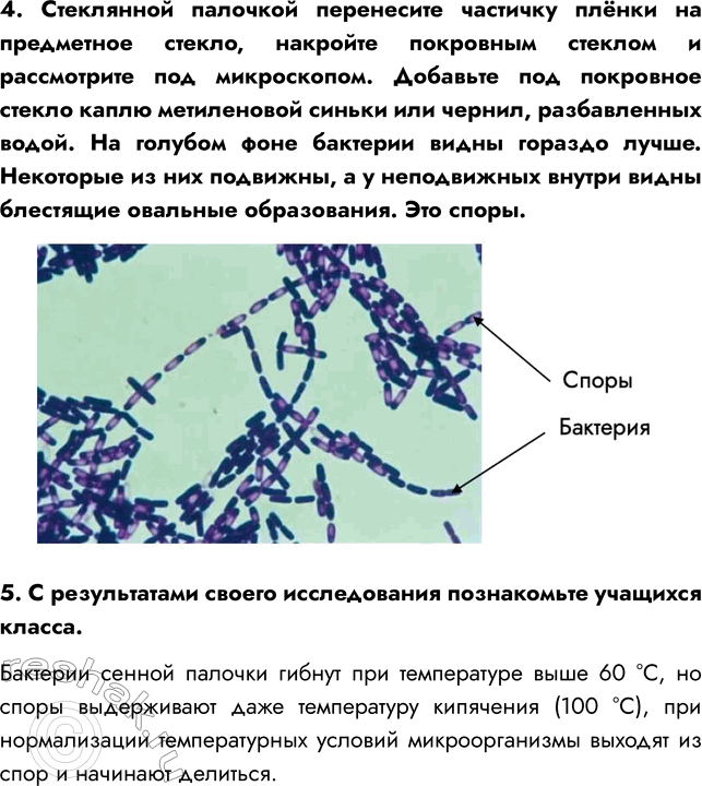 �������������� �����������