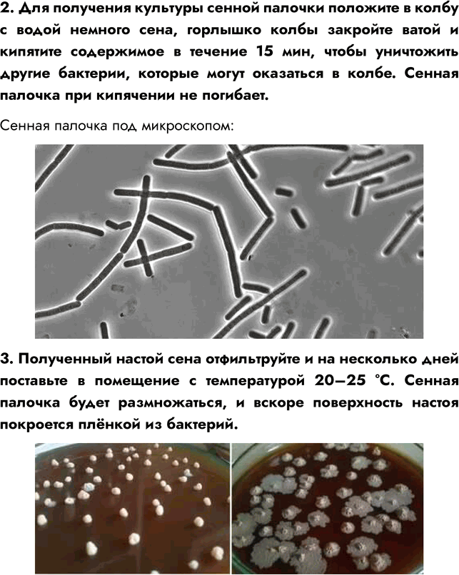 �������������� �����������