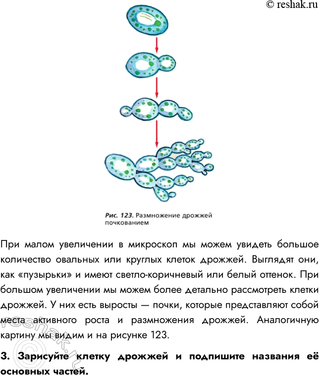 �������������� �����������