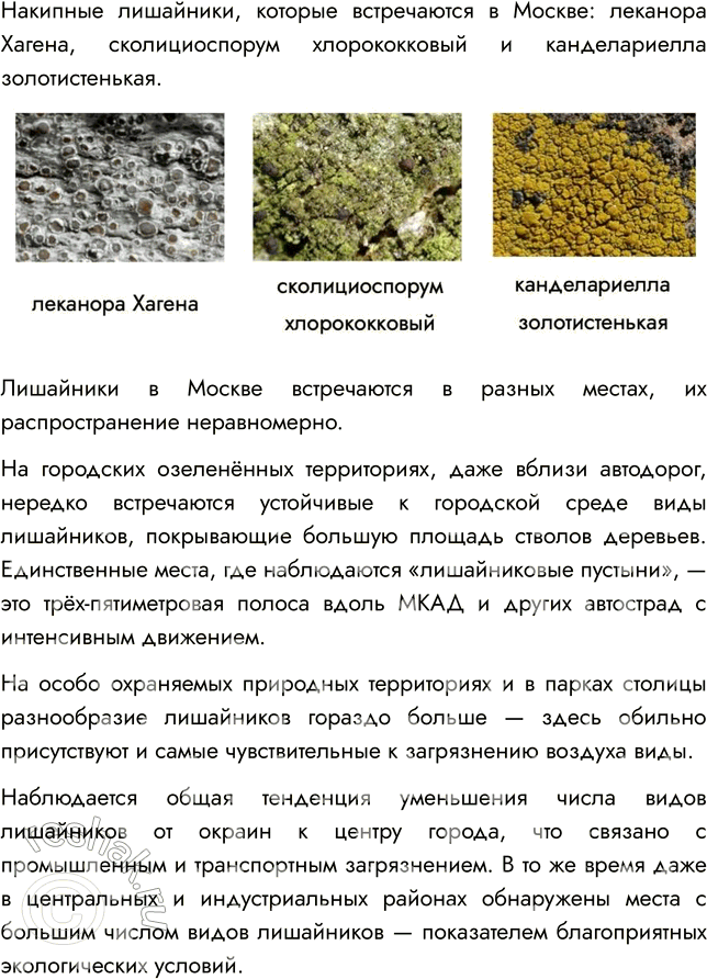 �������������� �����������