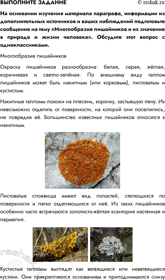 �������������� �����������