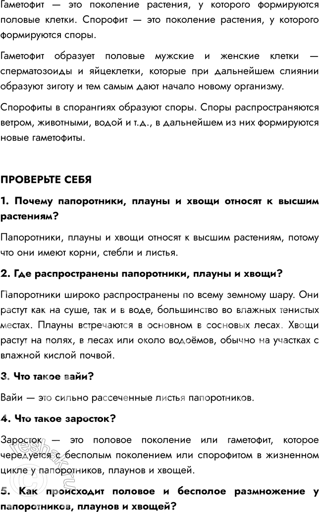 �������������� �����������