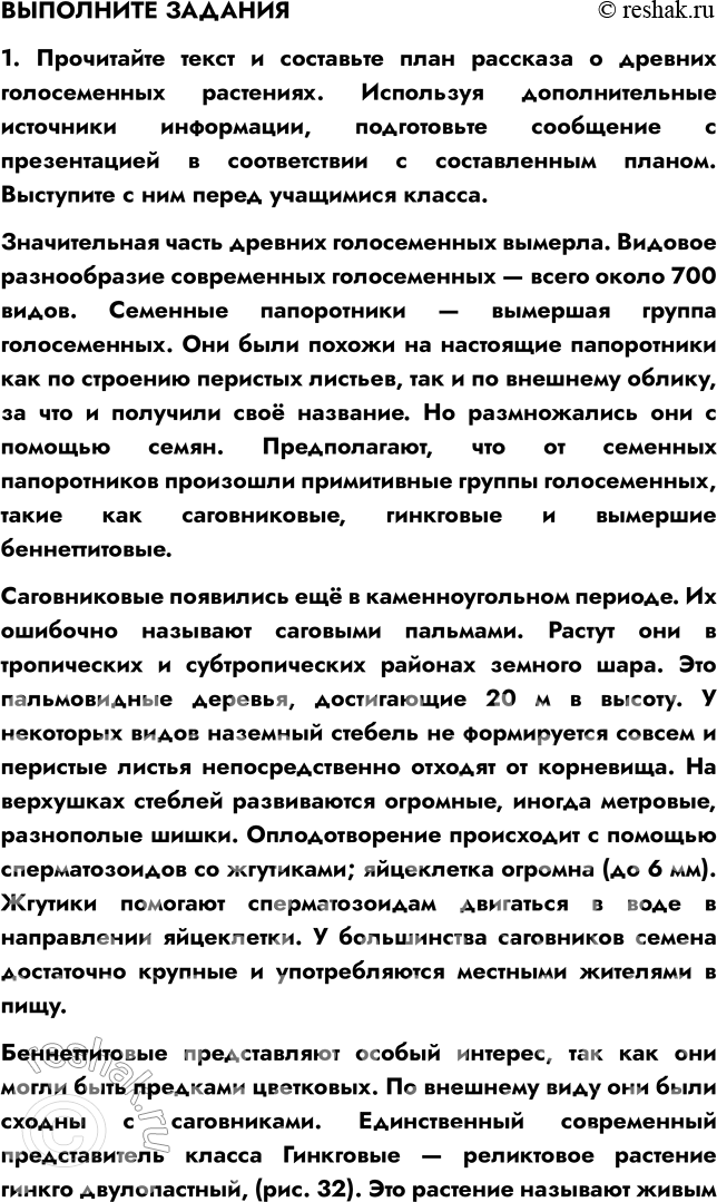 �������������� �����������