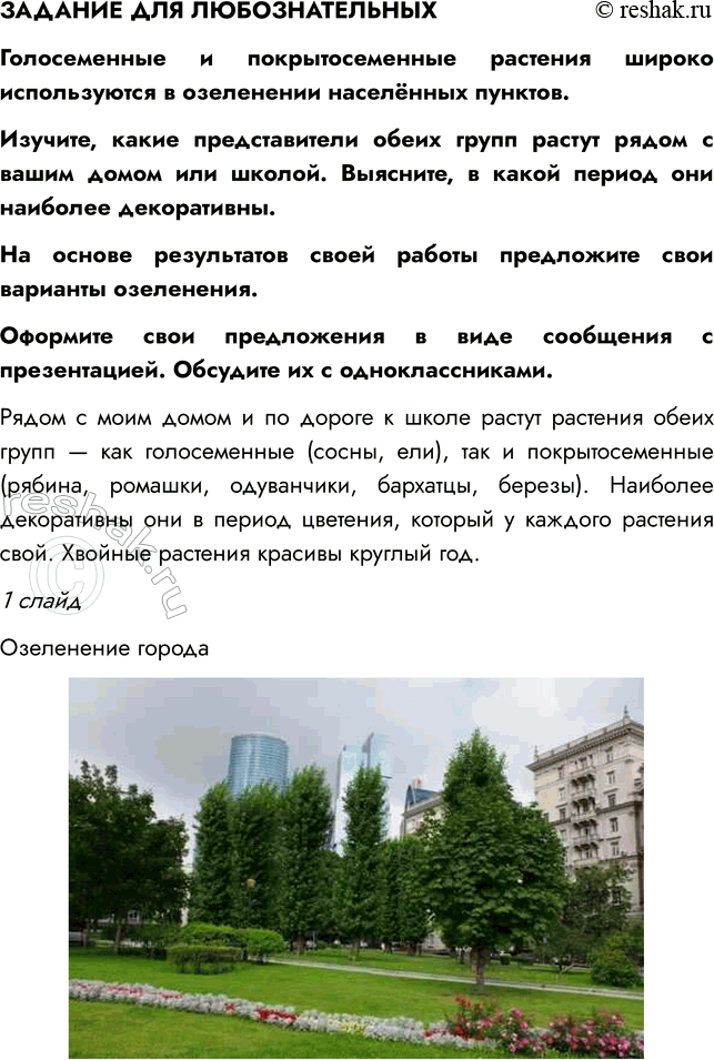 �������������� �����������