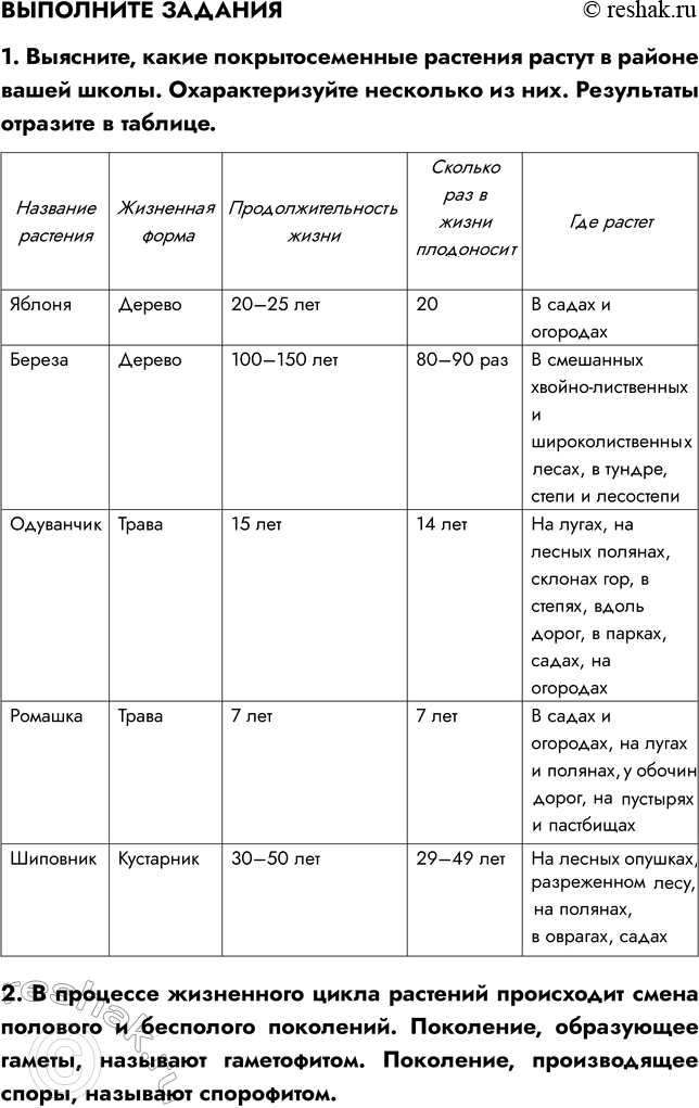 �������������� �����������