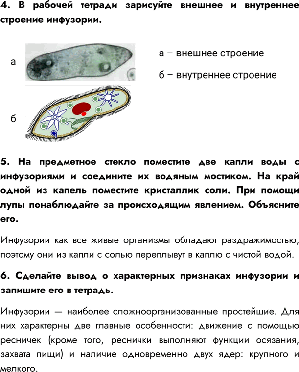Решено)Параграф 5 ГДЗ Сивоглазов Сарычева 7 класс по биологии