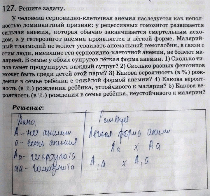 Какова вероятность рождения больного ребенка. Неполностью доминантный признак. Задачи на серповидно клеточную анемию доминантный признак. У человека серповидноклеточная анемия наследуется. Анемия аутосомный доминантный признак серповидноклеточная.