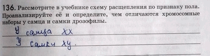 Изображение Упр.136 Рабочая тетрадь Пасечник 9 класс (Биология)