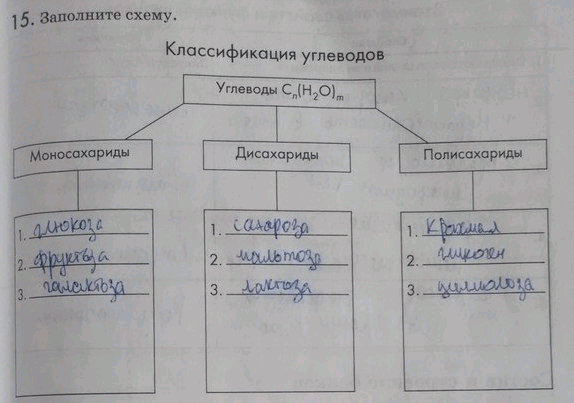 Заполните схему перечислив основные ид с кратким описанием