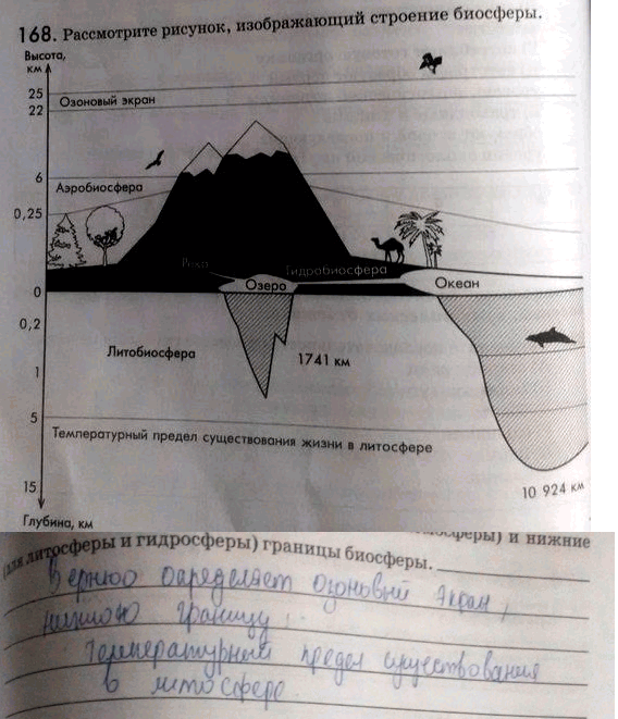 Рассмотрите рисунок изображающий строение биосферы