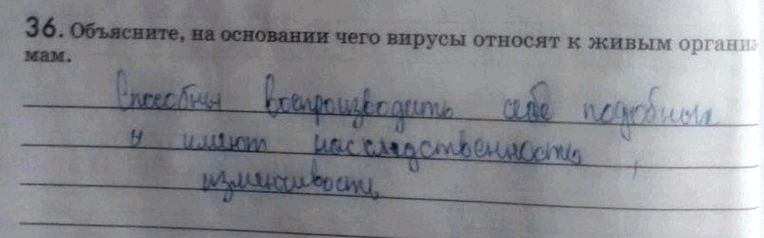 Изображение Упр.36 Рабочая тетрадь Пасечник 9 класс (Биология)