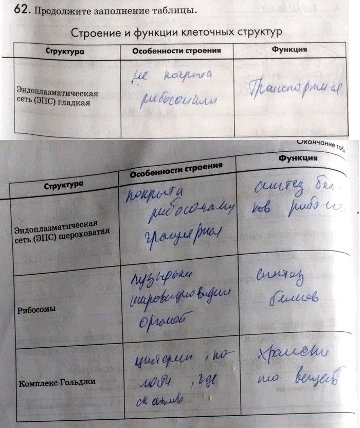 Проанализировав текст и рисунки параграфа продолжите заполнение в тетради таблицы